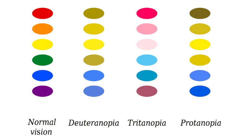 Menschen mit normaler Farbwahrnehmung, Grünblindheit (Deuteranopia), Blaublindheit (Tritanopia), Rotblindheit (Protanopia).